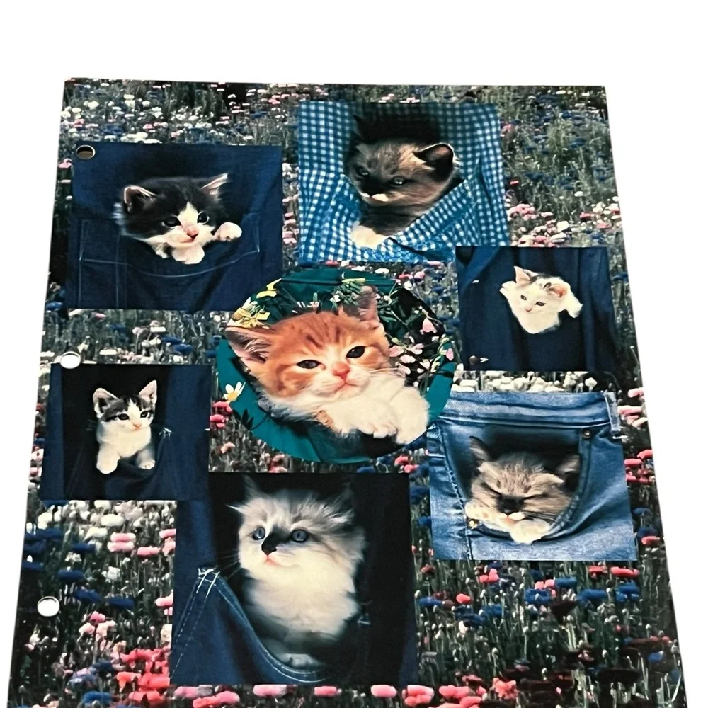 Cute Kitten blue folder